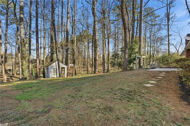 a view of large trees with a yard