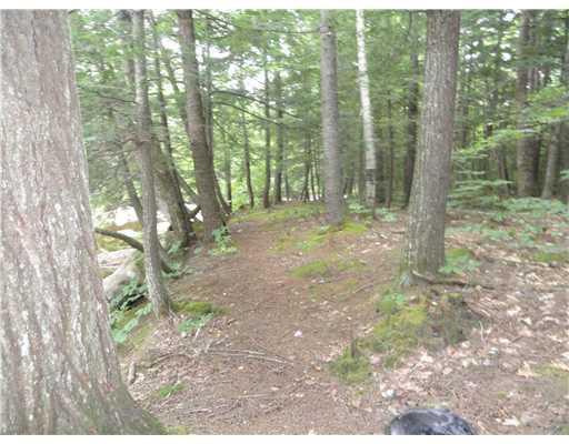0 Rte 118 Norway Road Waterford, ME 04088 - Photo 5 of 12 Land. Fun and comfortable walking...