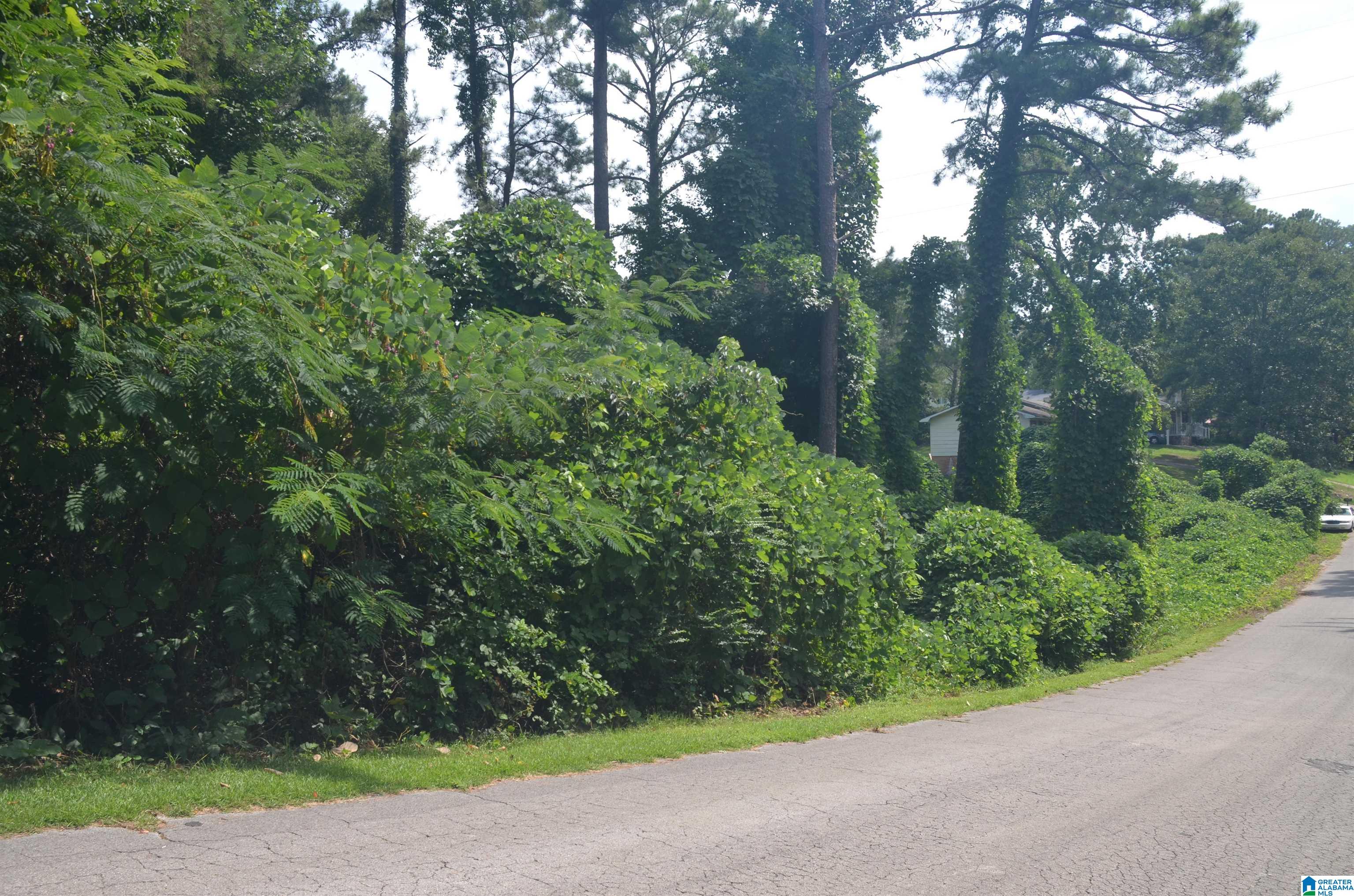 0 Hilltop Road Weaver, AL 36277 - Photo 7 of 8
