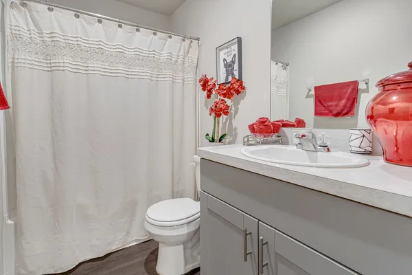a bathroom with a sink a toilet and shower curtain