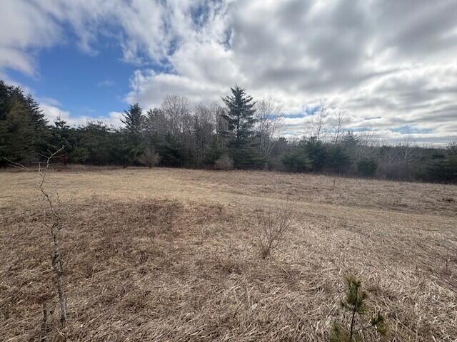4 4 Mile Road Evart, MI 49631 - Photo 20 of 30