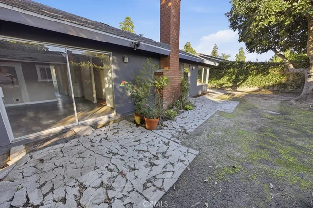 a view of a yard with plants and a trees