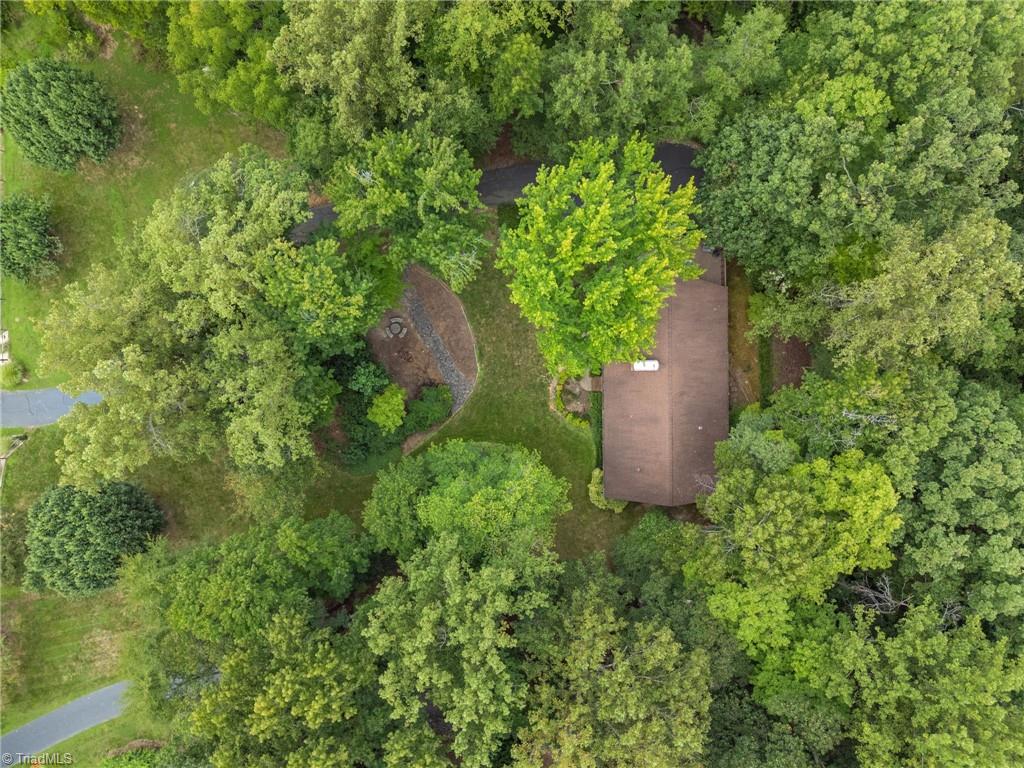 1358 Tellowee Road Eden, NC 27288 - Photo 40 of 45