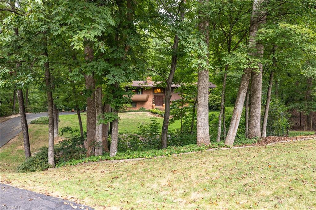 1358 Tellowee Road Eden, NC 27288 - Photo 4 of 45