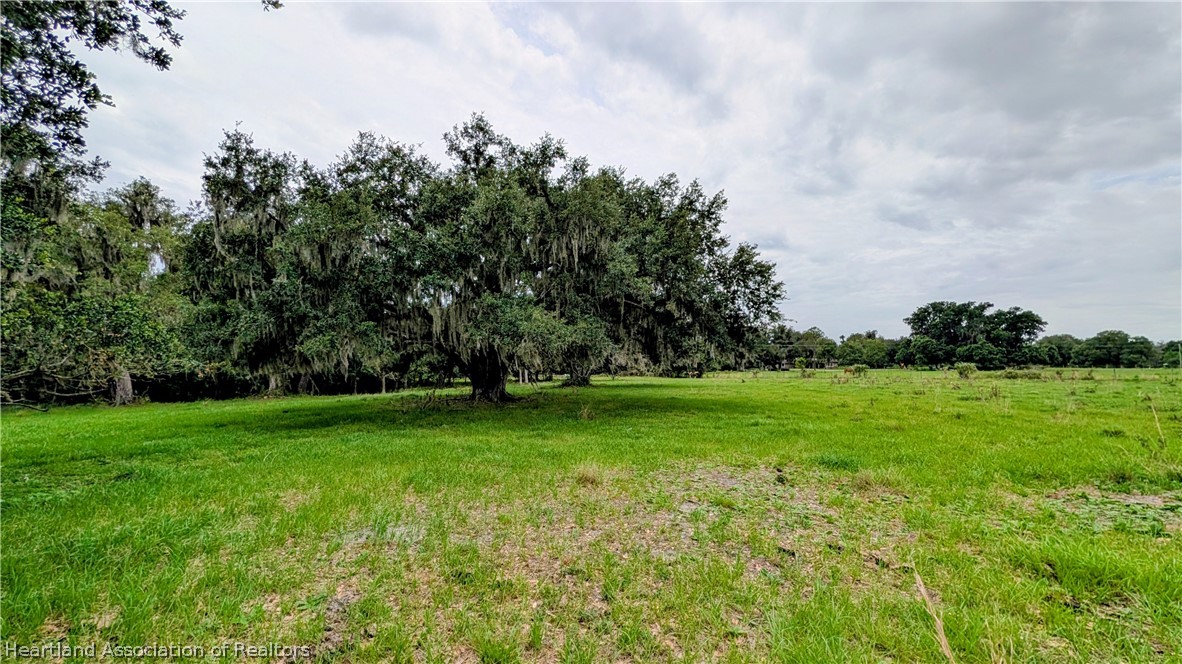 Popash Road Wauchula, FL 33873 - Photo 2 of 29 a view of field with trees in the background