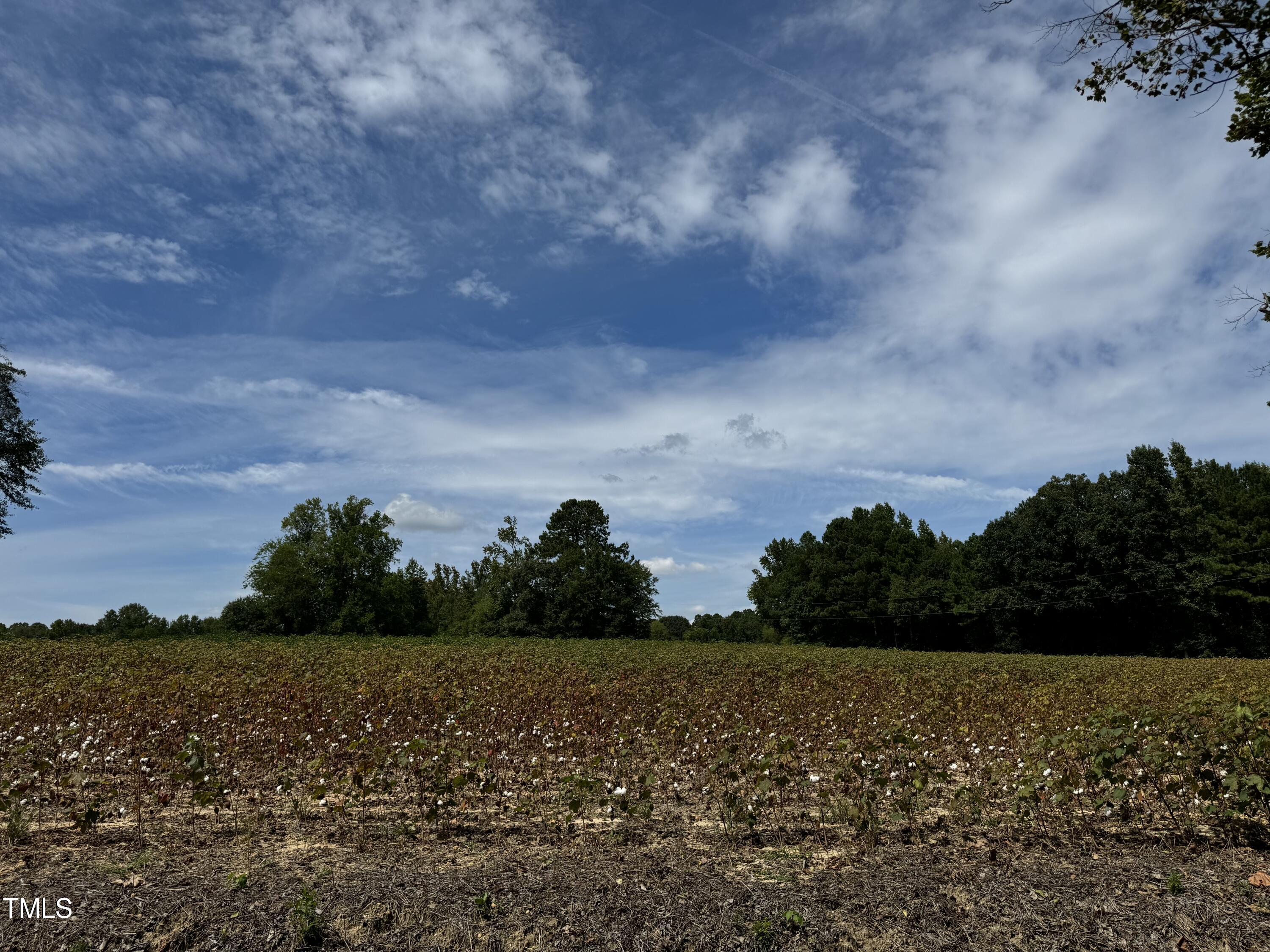 3-acres Mitchell Road Angier, NC 27501 - Photo 3 of 5 IMG_3690