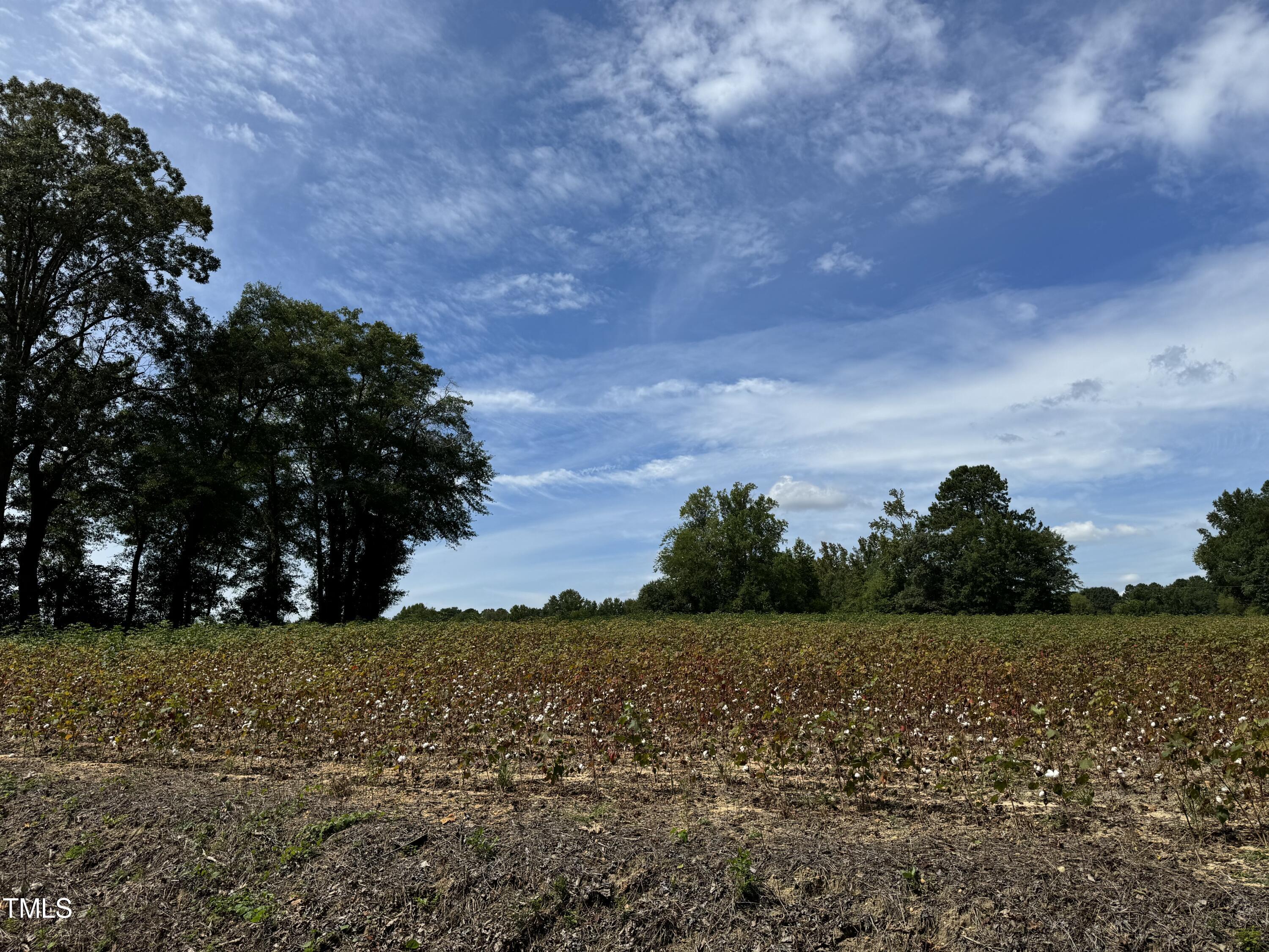 3-acres Mitchell Road Angier, NC 27501 - Photo 4 of 5 IMG_3689 (1)