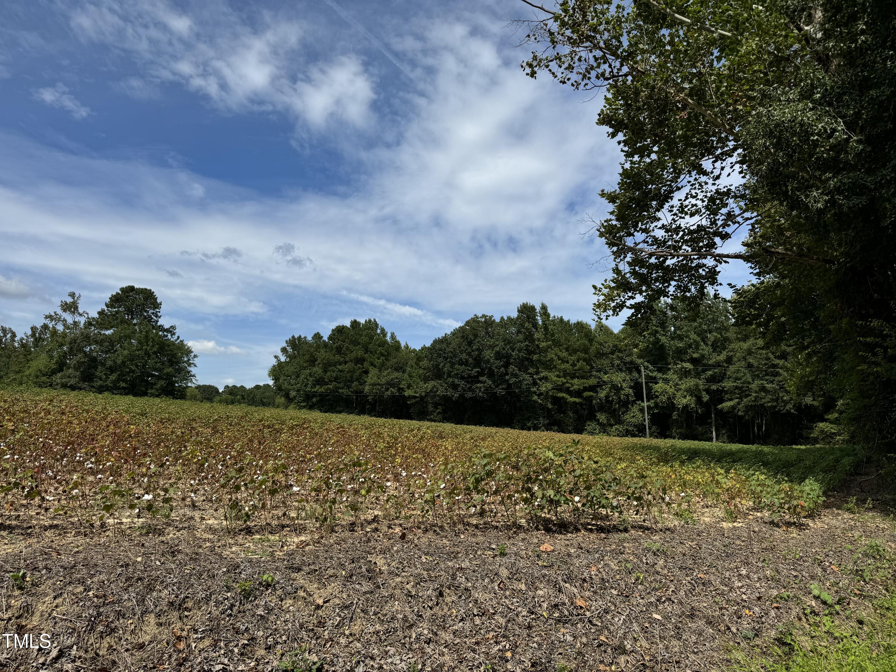 3-acres Mitchell Road Angier, NC 27501 - Photo 5 of 5 IMG_3688