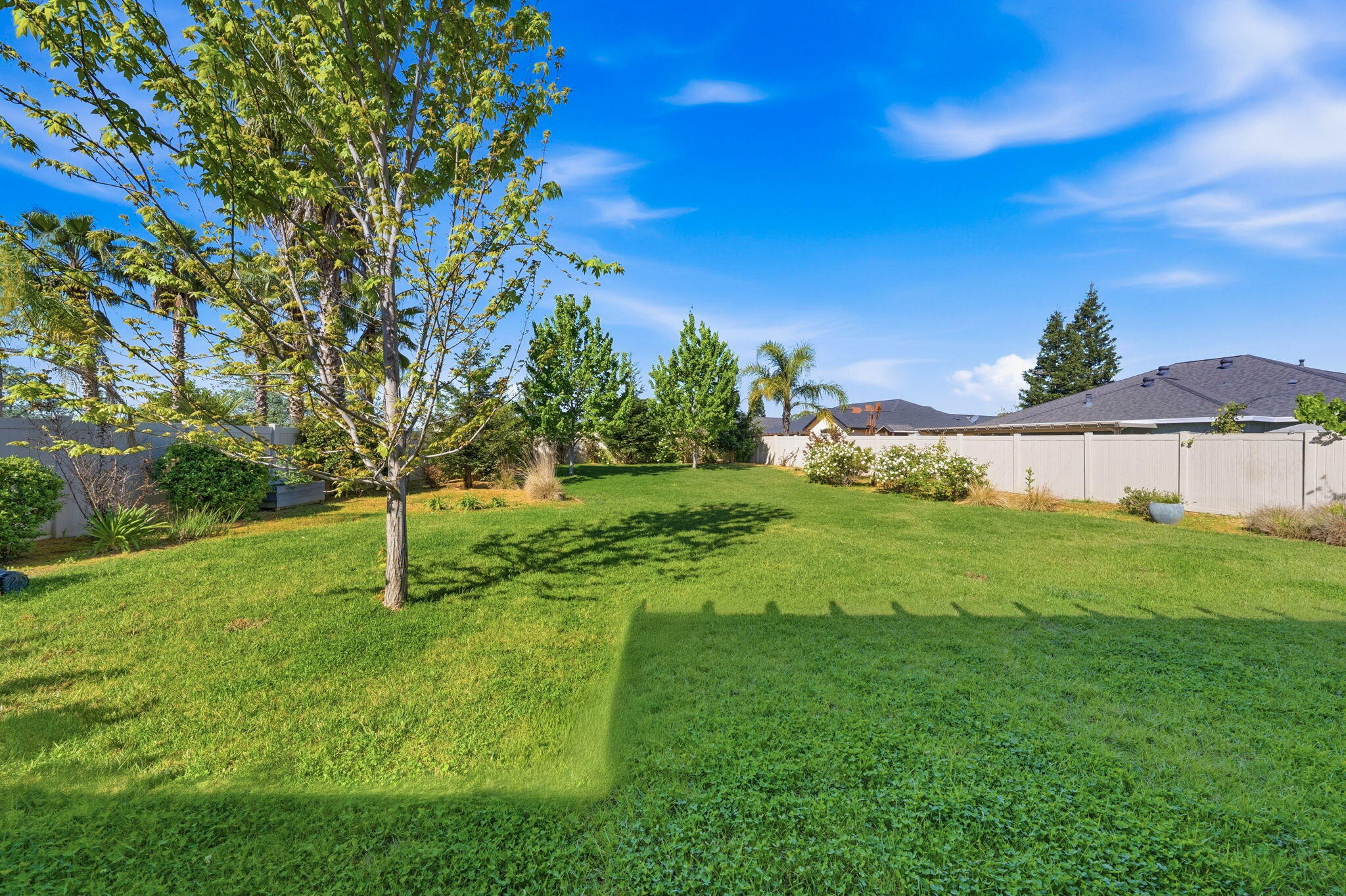 542 El Mango Drive Redding, CA 96003 - Photo 31 of 38 backyard