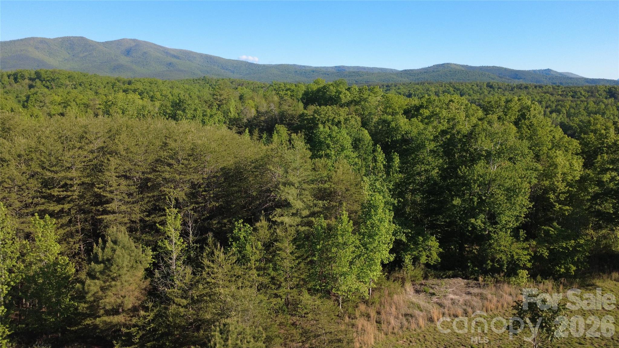 431 Ridge Point Road, Unit 7 Nebo, NC 28761 - Photo 7 of 20