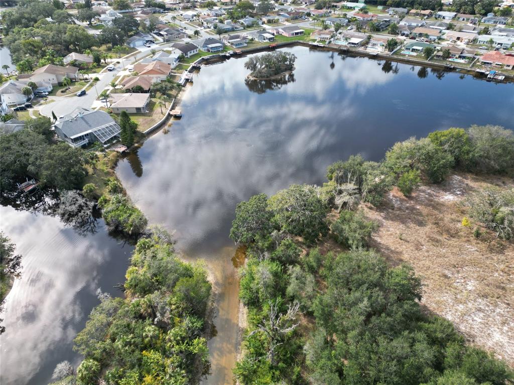 0 Berry Hill Road Holiday, FL 34690 - Photo 13 of 43