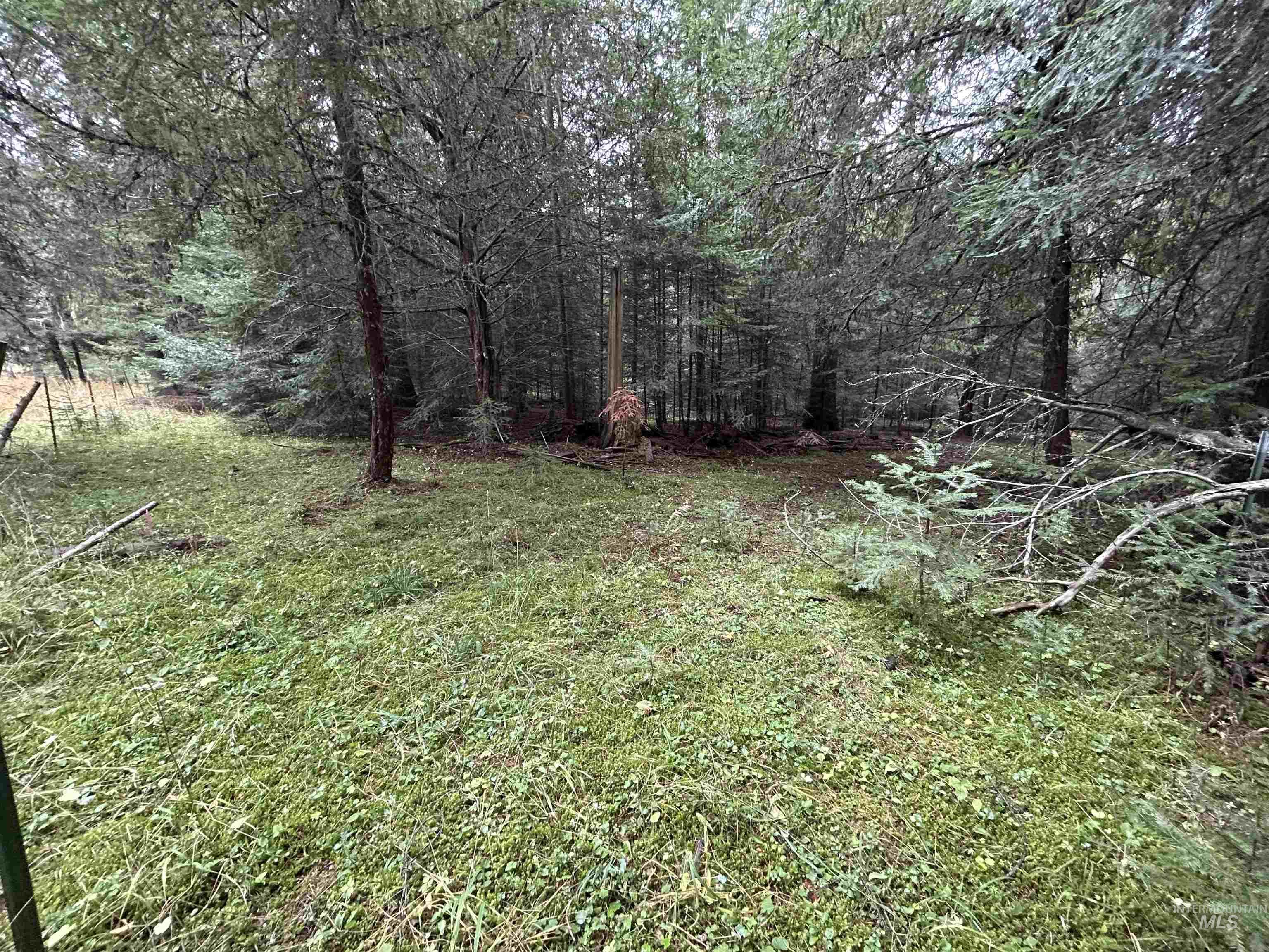 Tbd Lot 1 Tbd Road Kamiah, ID 83536 - Photo 10 of 16