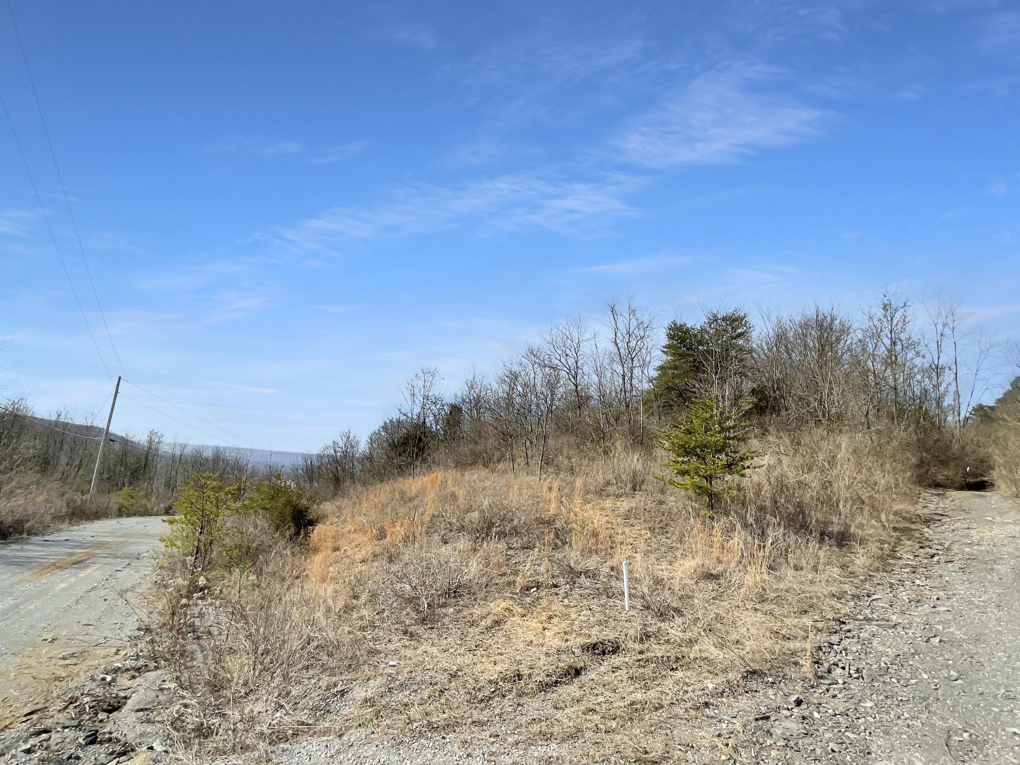 0 Teludachee Trail Guild, TN 37340 - Photo 3 of 12 a view of mountain view with trees