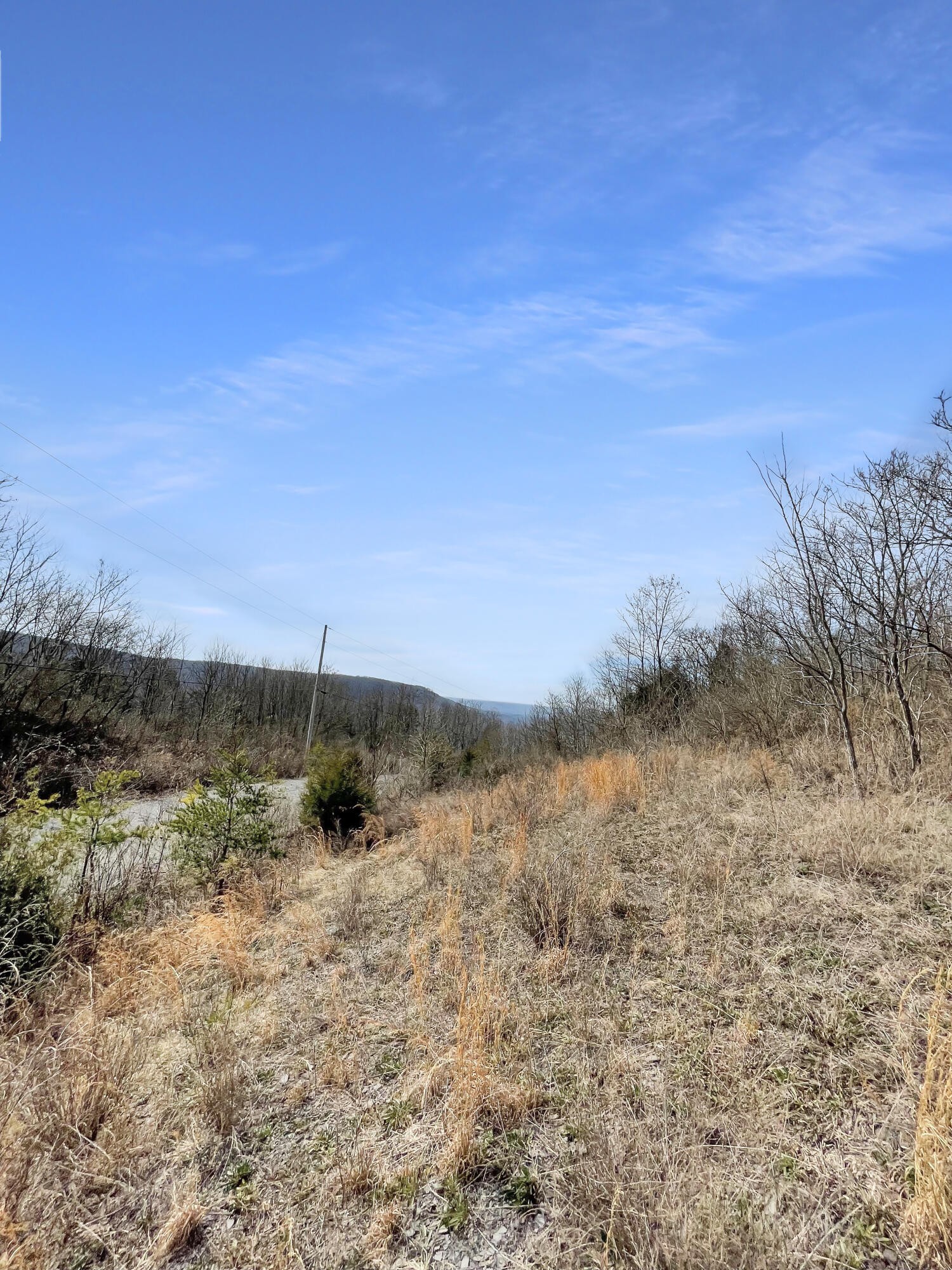 0 Teludachee Trail Guild, TN 37340 - Photo 5 of 12 a view of a lake with mountains in the background
