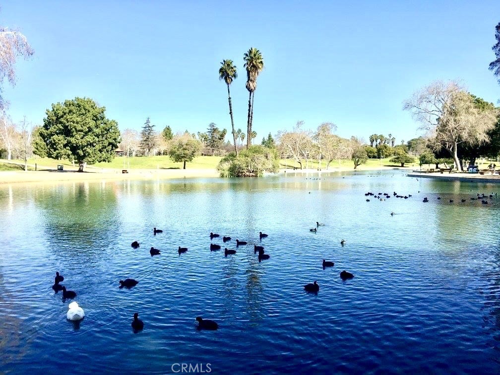 16073 Crestline Drive La Mirada, CA 90638 - Photo 61 of 75