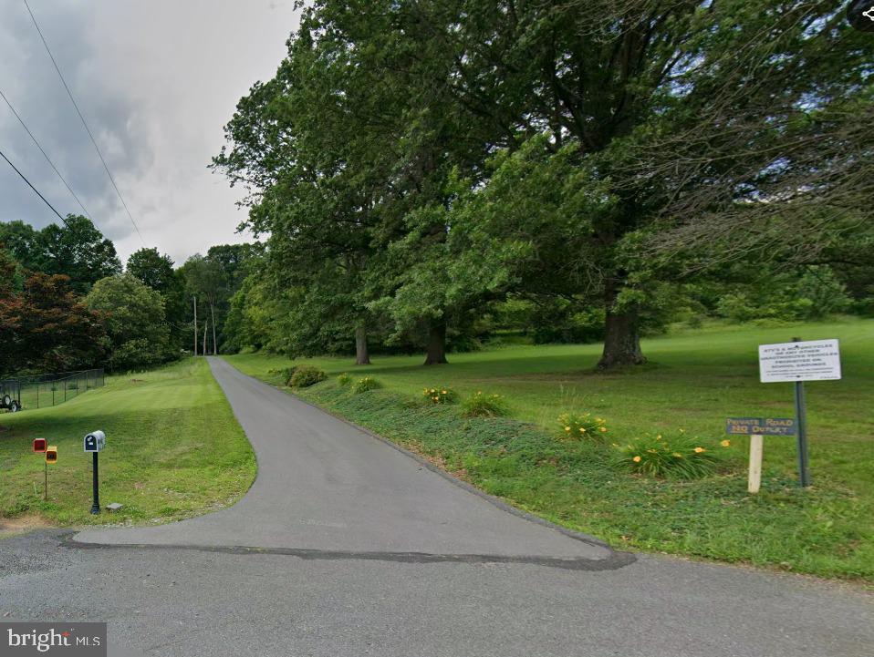 a view of a park with large trees