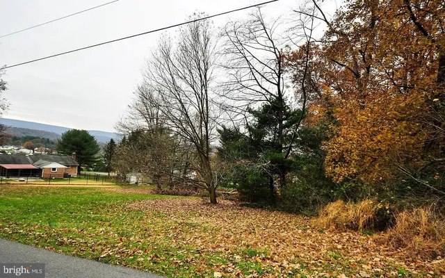 a view of yard with tree