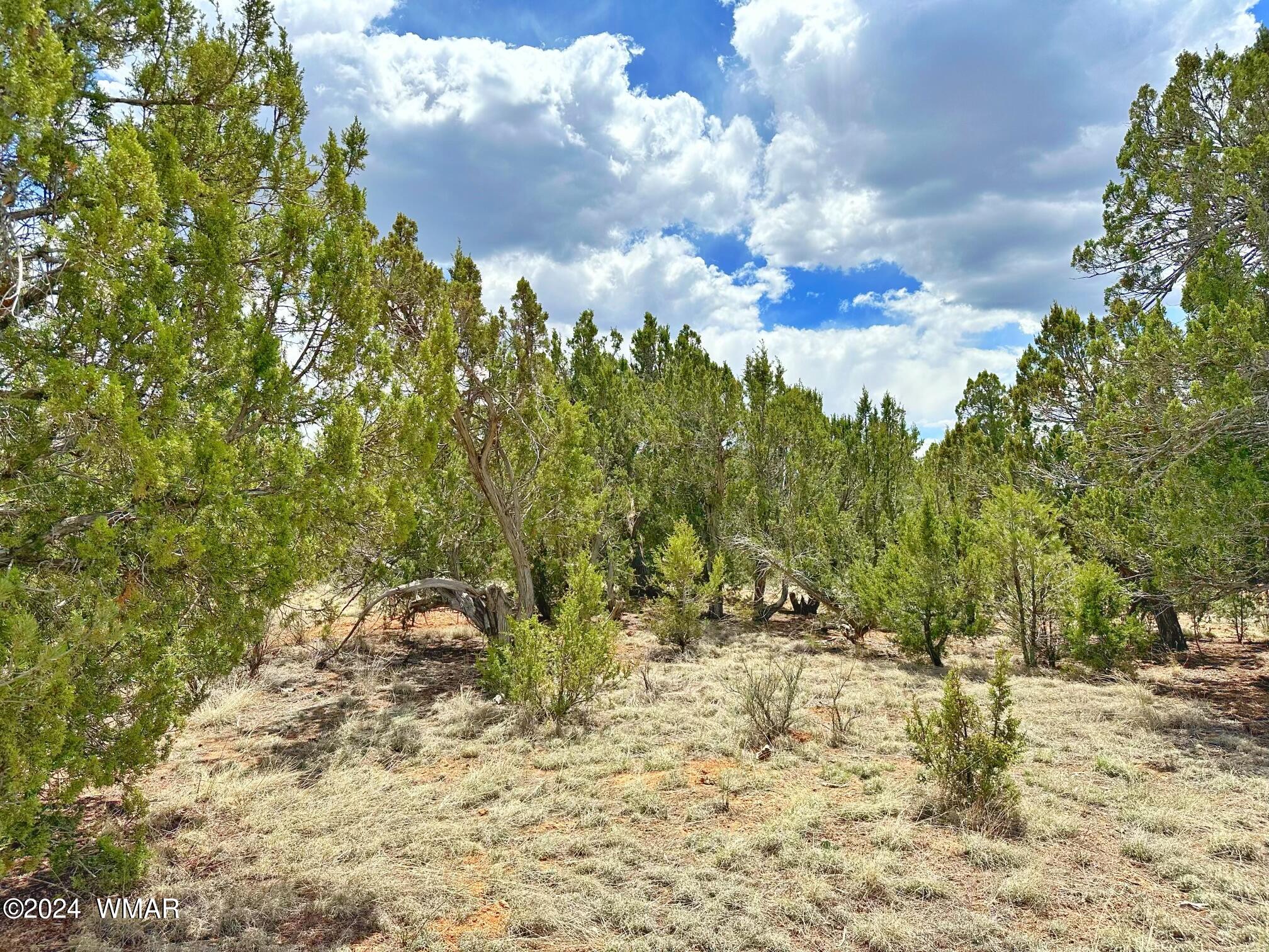2268 Roundabout Circle Overgaard, AZ 85933 - Photo 2 of 5