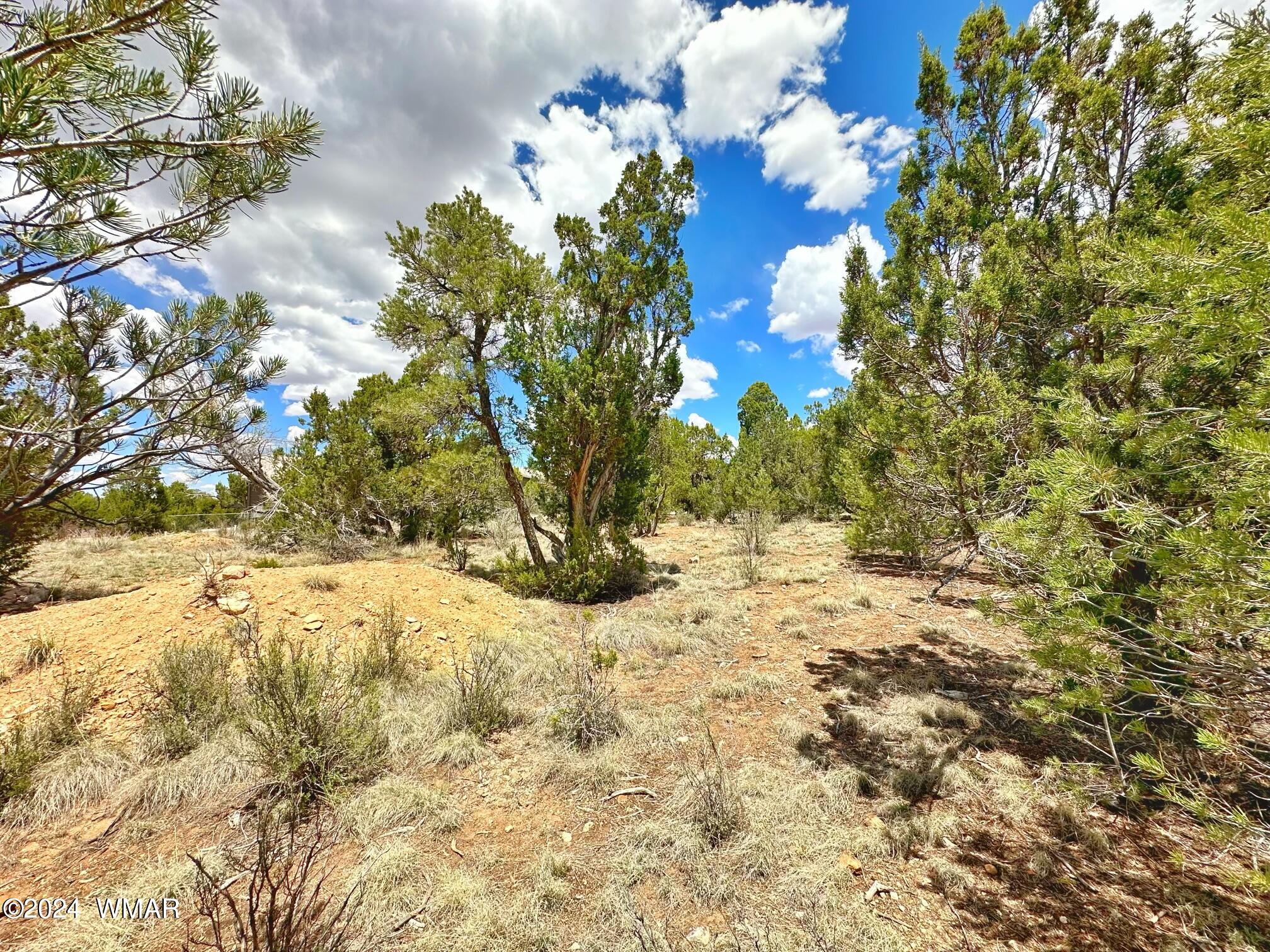 2268 Roundabout Circle Overgaard, AZ 85933 - Photo 3 of 5