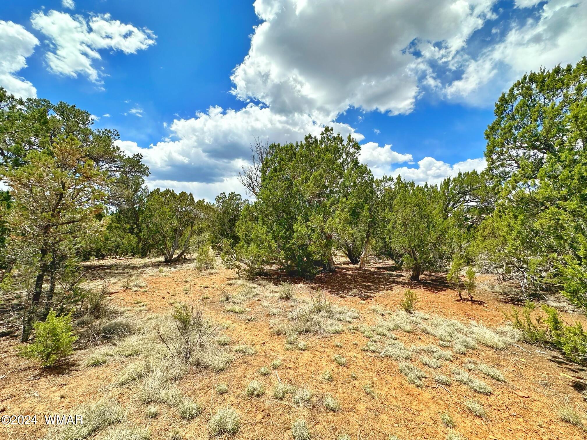 2268 Roundabout Circle Overgaard, AZ 85933 - Photo 4 of 5