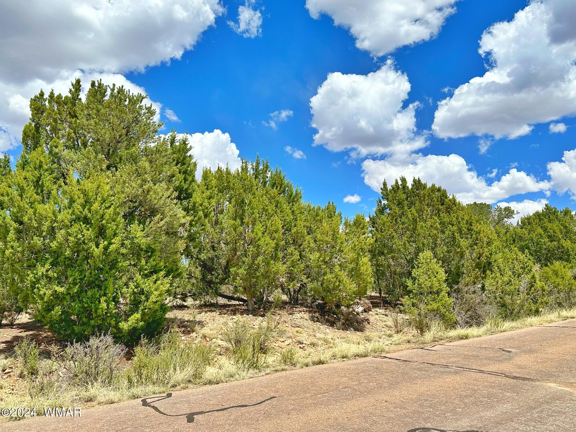 2268 Roundabout Circle Overgaard, AZ 85933 - Photo 5 of 5
