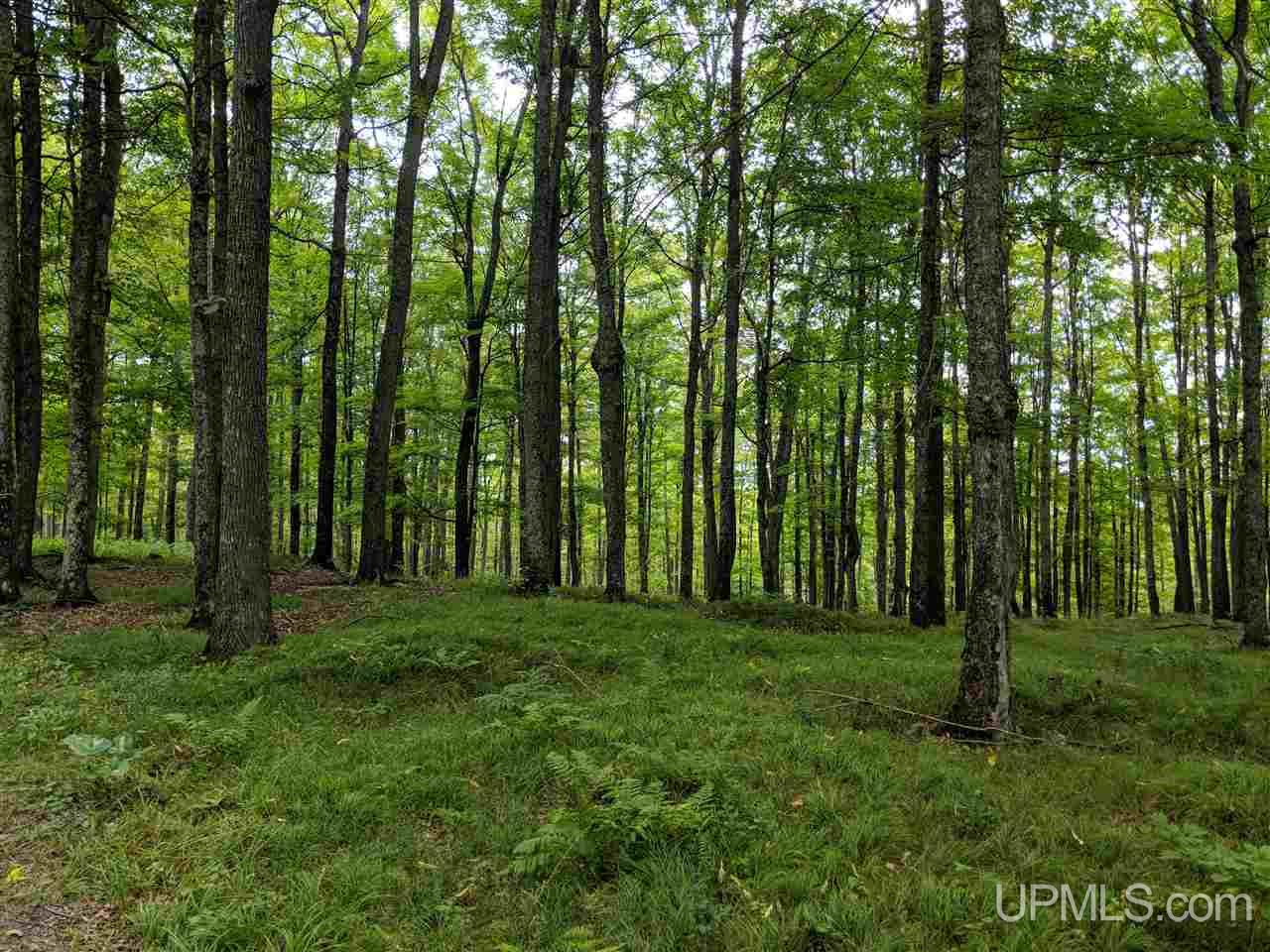 6.50-acres Fordville Road, Unit 27 STURGEON RIVER SI Foster City, MI 49807 - Photo 1 of 14