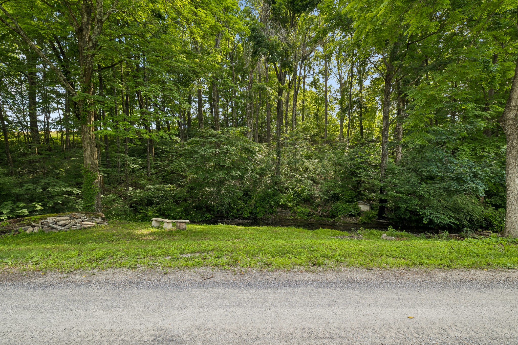 698 Tooley Branch Road Westmoreland, TN 37186 - Photo 10 of 44