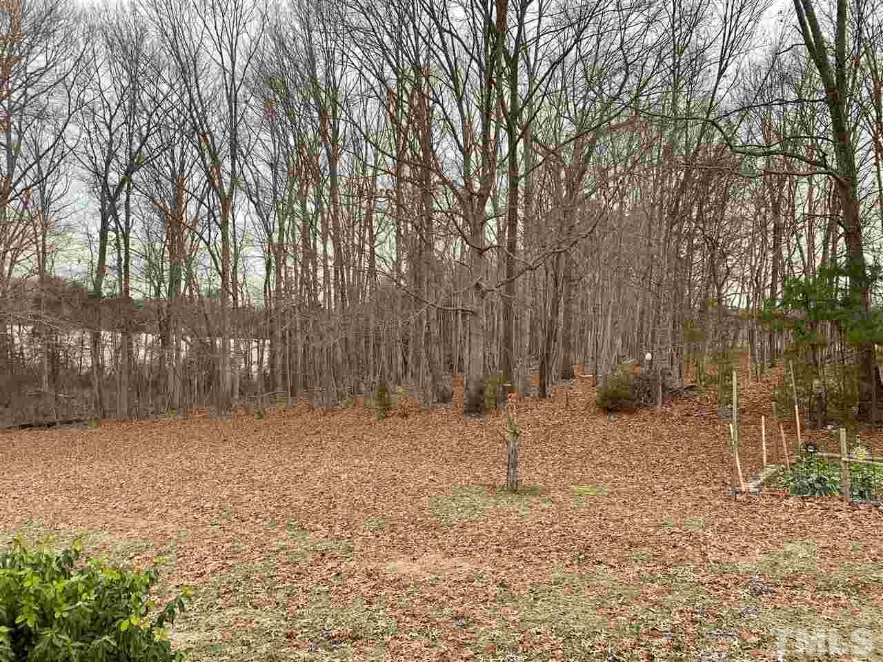 300 Thomas Humphries Road Roxboro, NC 27574 - Photo 20 of 22