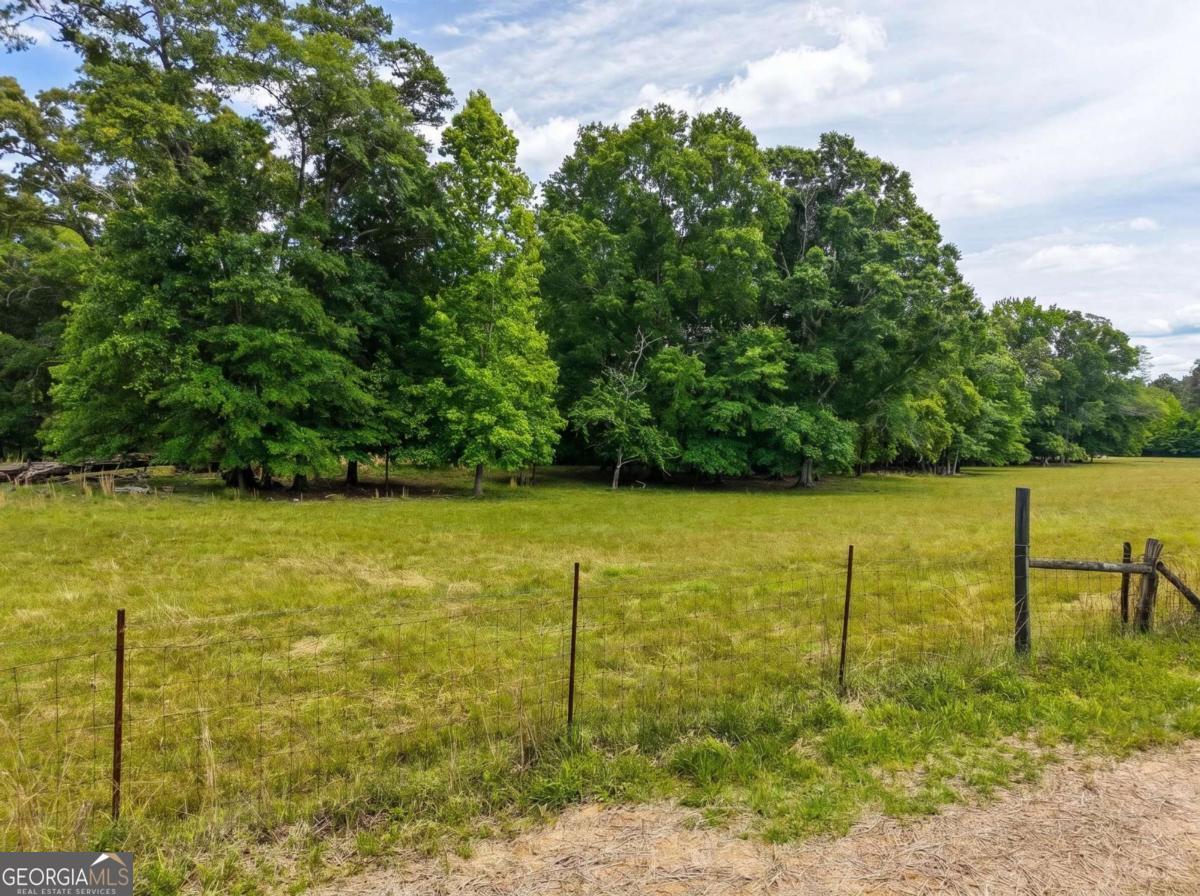 Tract 2 Mcnutt Creek Road Bogart, GA 30622 - Photo 4 of 6