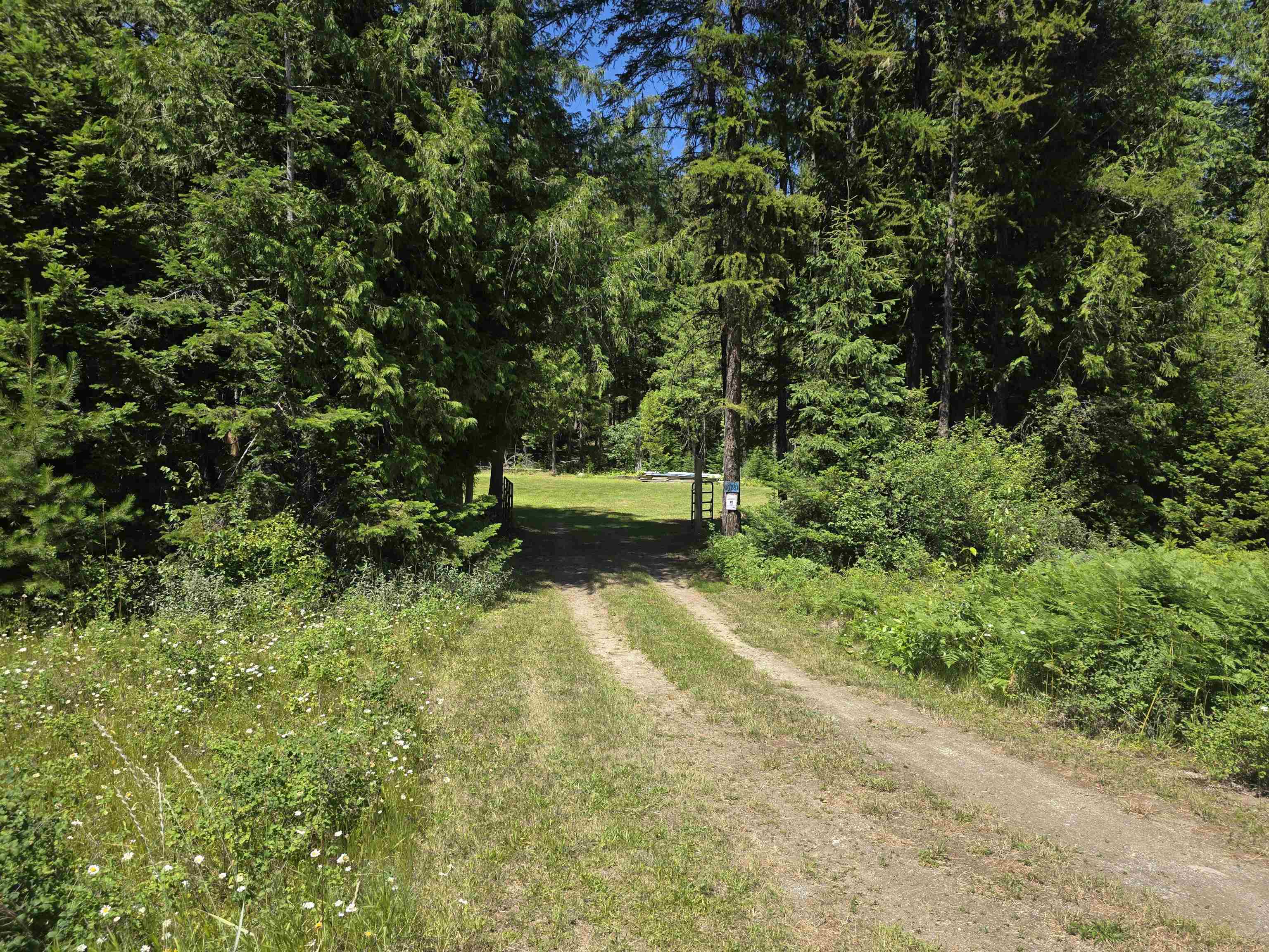 10281 Boundary Road Metaline Falls, WA 99153 - Photo 2 of 18 Gallery Image 2