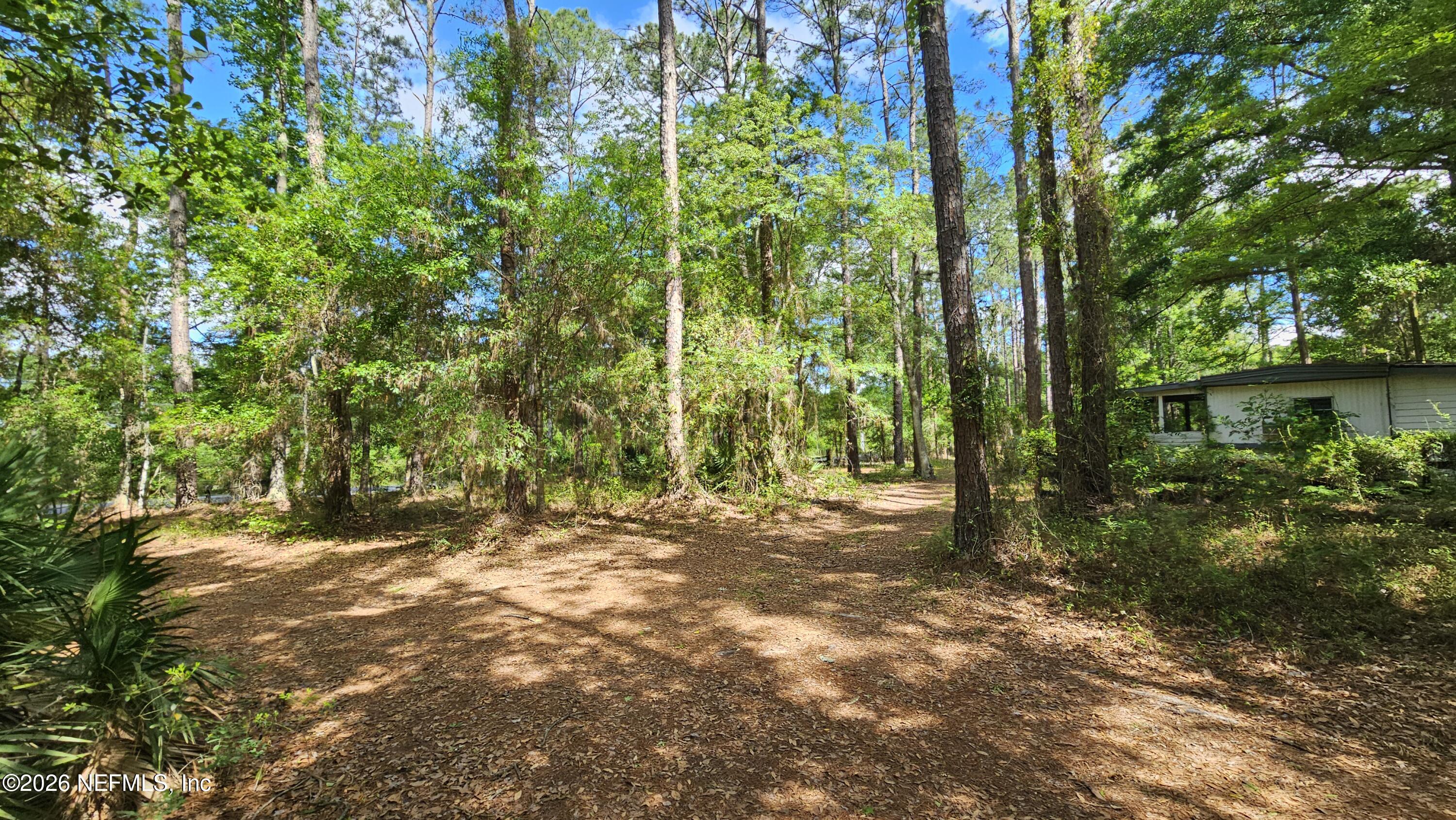 6324 Lannie Road Jacksonville, FL 32218 - Photo 8 of 62 1000105430