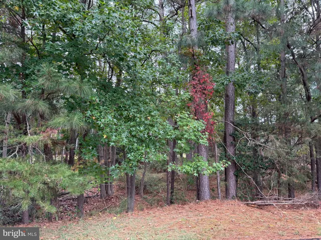 $60,000 | 14975 Persimmon Court, Issue, MD 20645