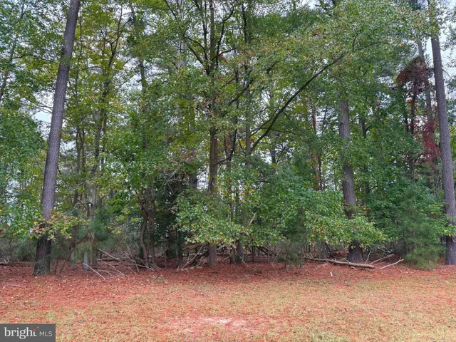 $60,000 | 14975 Persimmon Court, Issue, MD 20645