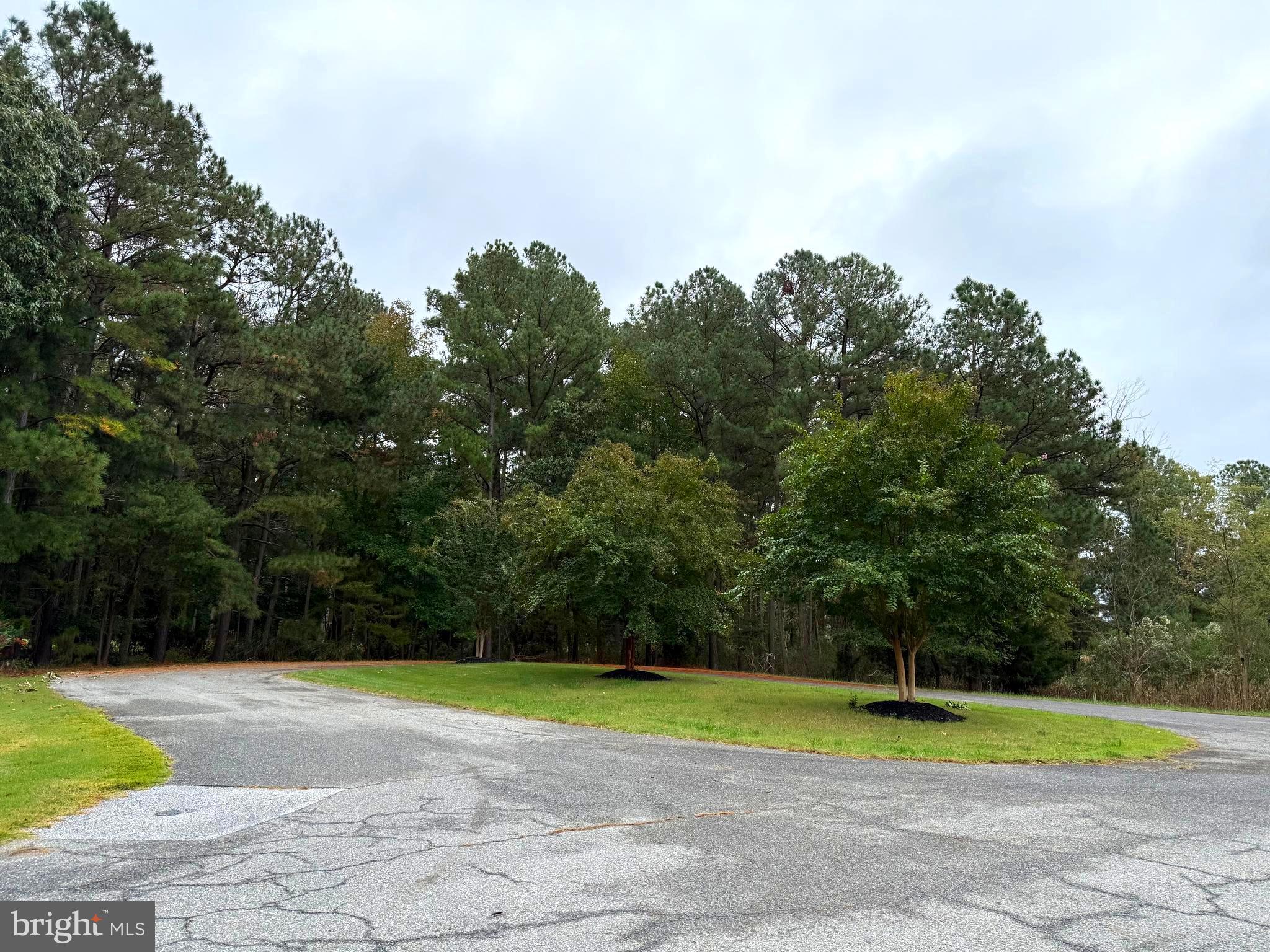 14975 Persimmon Court Issue, MD 20645 - Photo 6 of 15 a view of outdoor space yard and trees