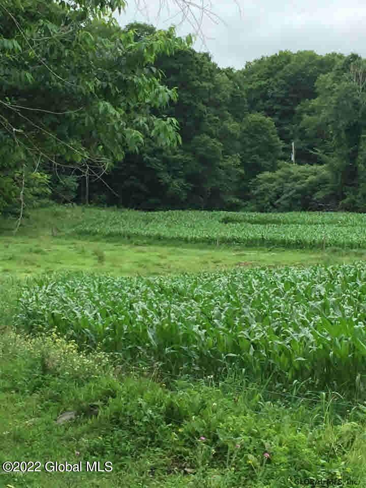 47 County Rte 47 Argyle, NY 12809 - Photo 8 of 14 20211118080031644520000000-o