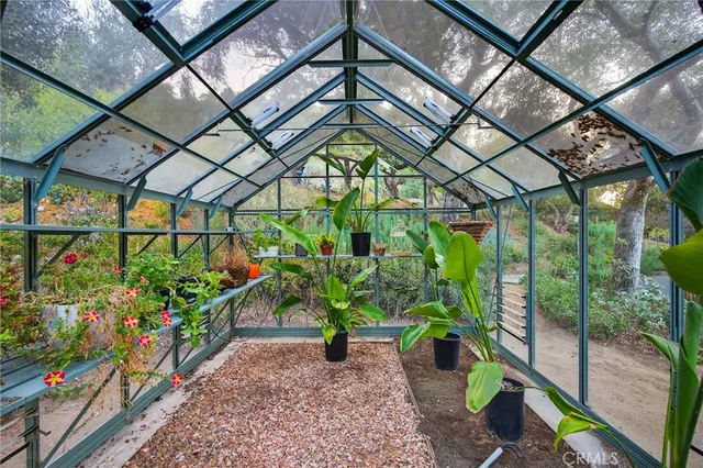 a view of a backyard with plants and tree