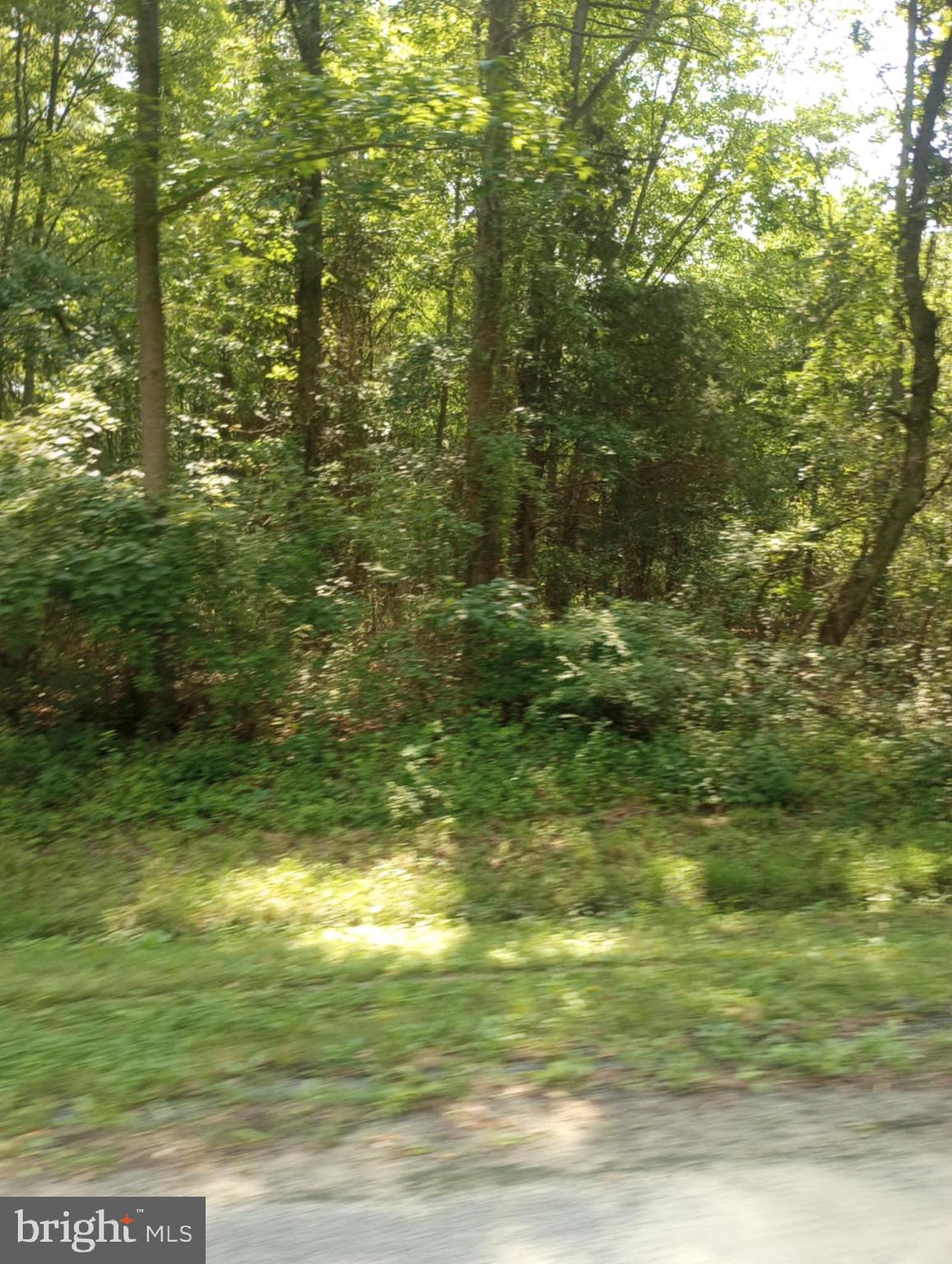 Cloquet Road Chestertown, MD 21620 - Photo 11 of 24 a view of a yard