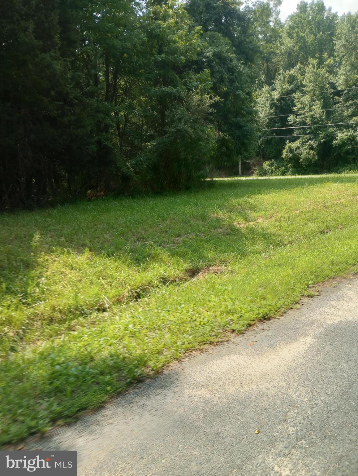 Cloquet Road Chestertown, MD 21620 - Photo 12 of 24 a view of a yard with a trees