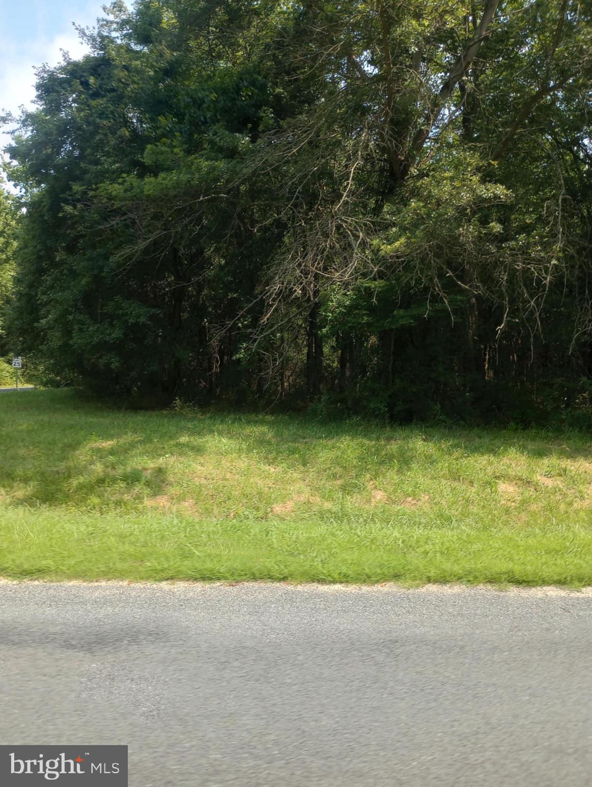 Cloquet Road Chestertown, MD 21620 - Photo 13 of 24 a view of a green yard
