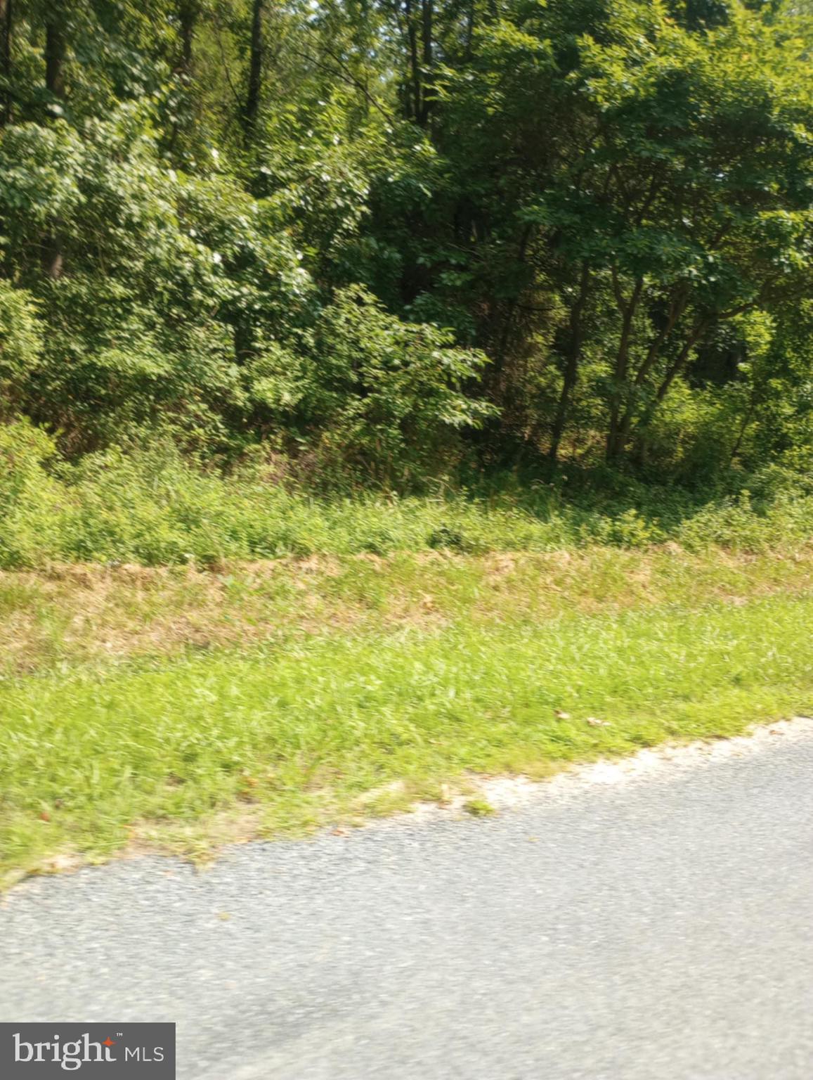 Cloquet Road Chestertown, MD 21620 - Photo 15 of 24