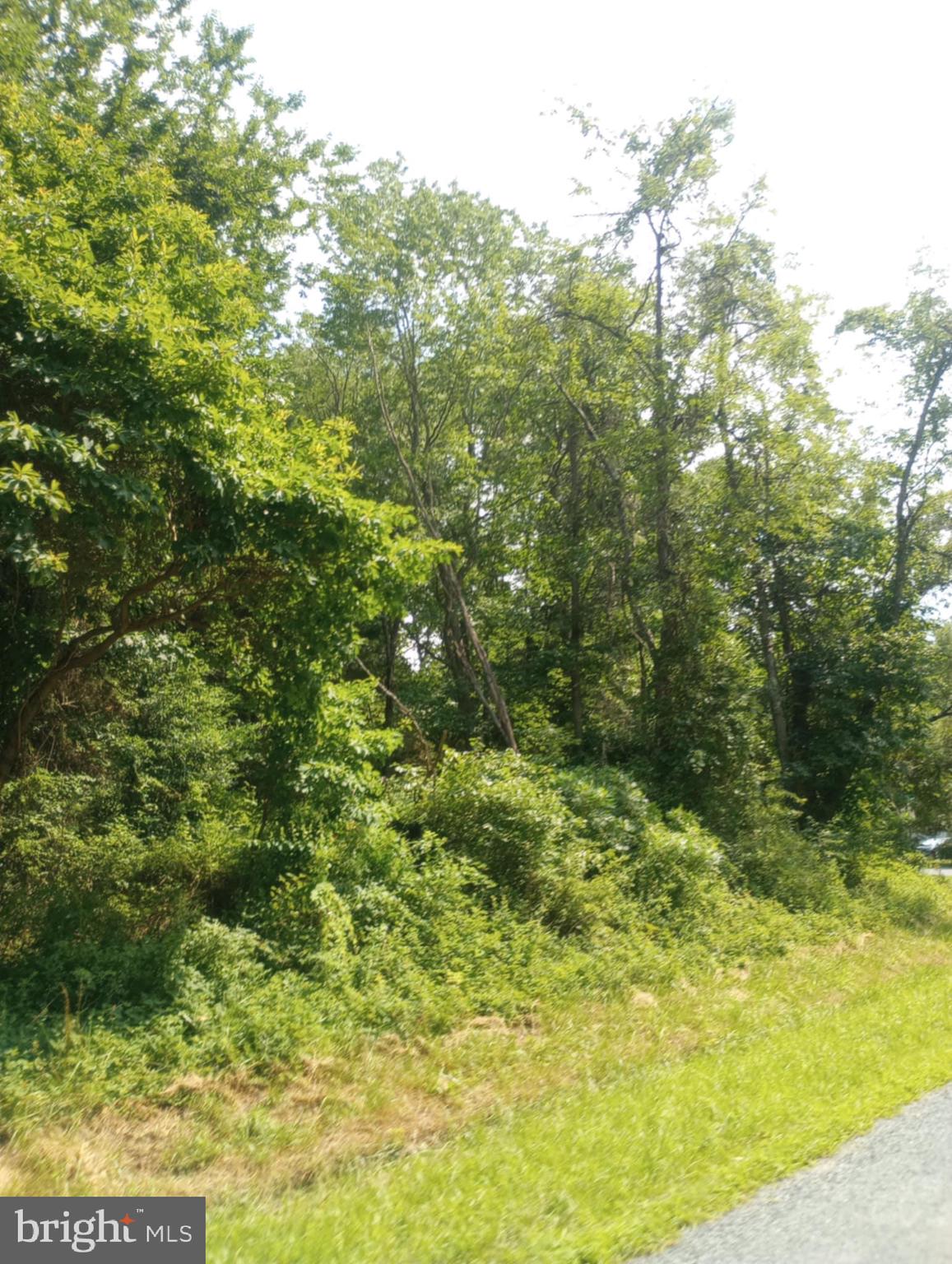 Cloquet Road Chestertown, MD 21620 - Photo 21 of 24 a view of a yard with an outdoor space
