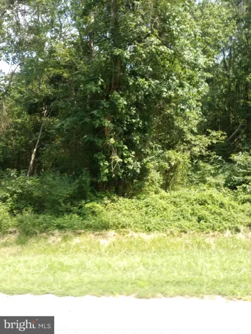 a view of a yard with an outdoor space