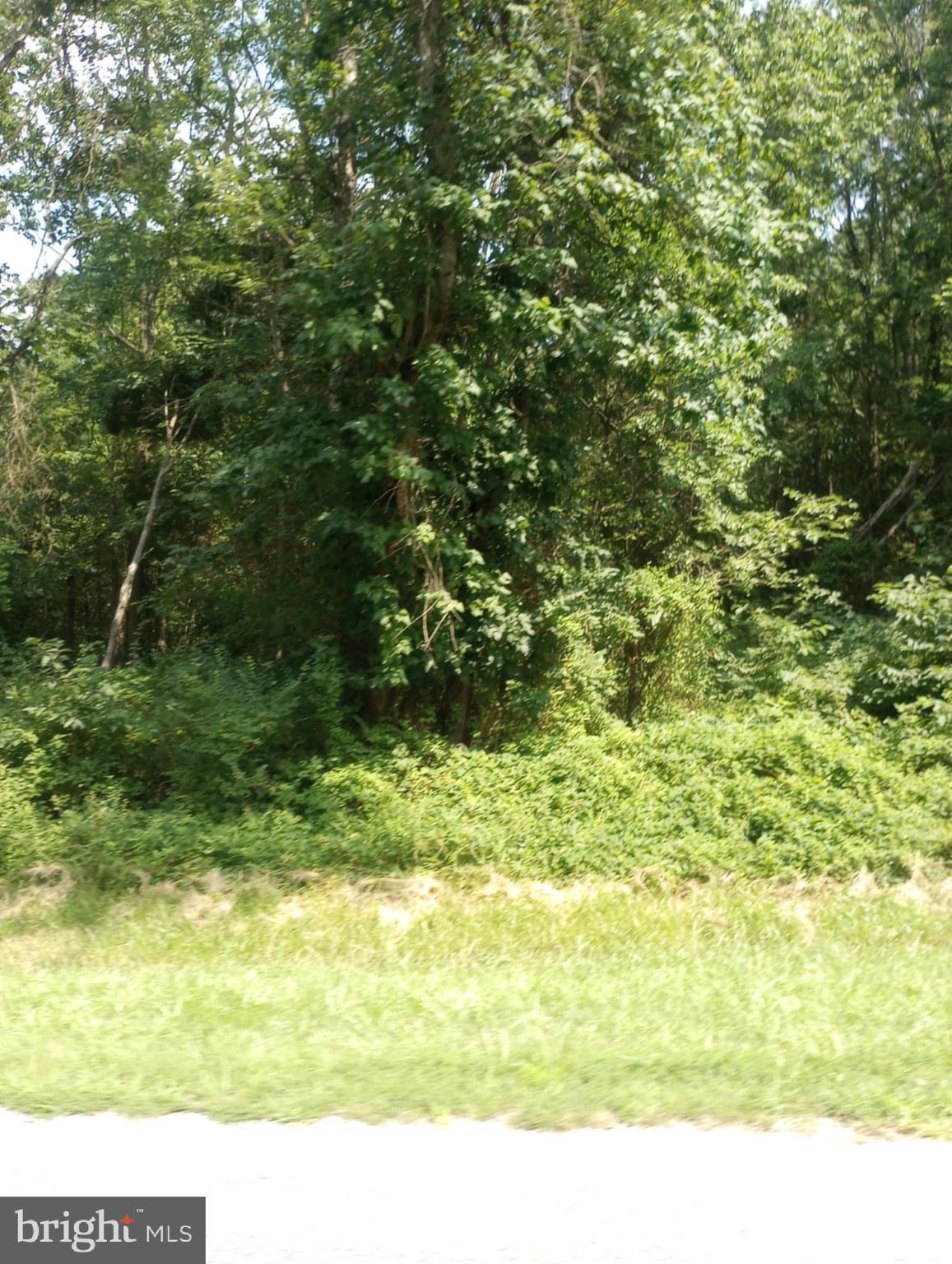 Cloquet Road Chestertown, MD 21620 - Photo 22 of 24 a view of a yard