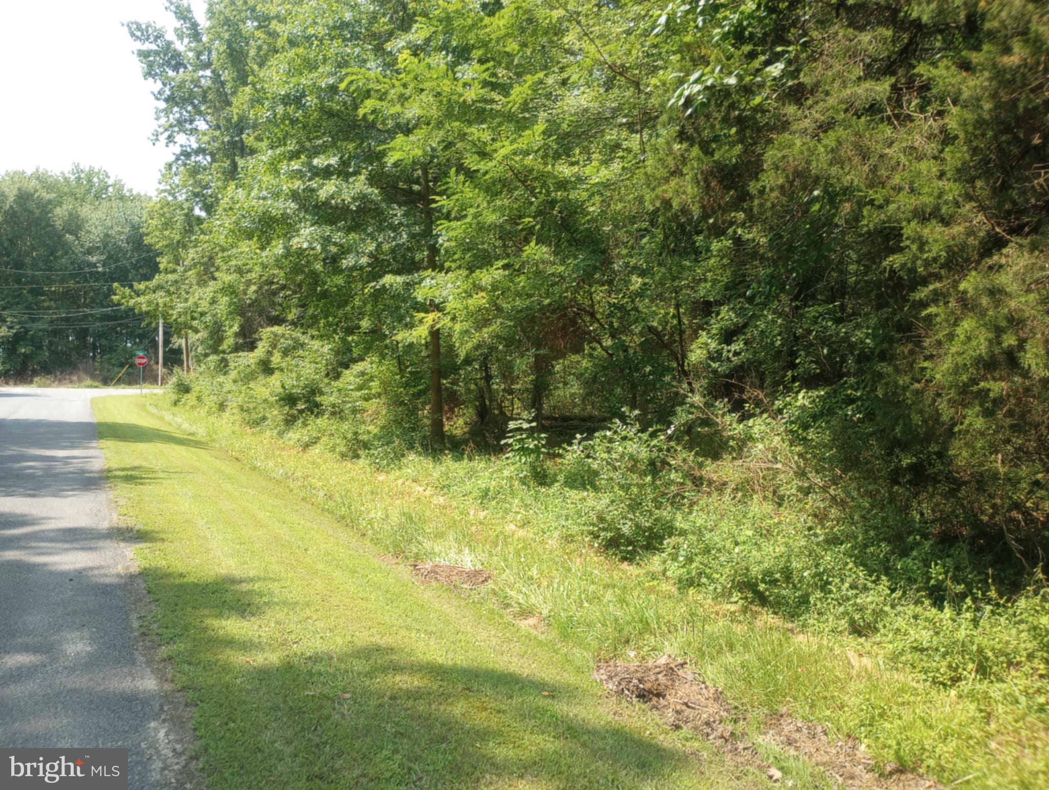 Cloquet Road Chestertown, MD 21620 - Photo 24 of 24 a view of a garden