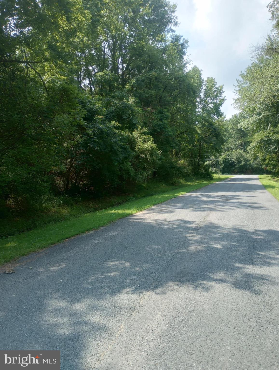 Cloquet Road Chestertown, MD 21620 - Photo 7 of 24 a view of a yard with a trees