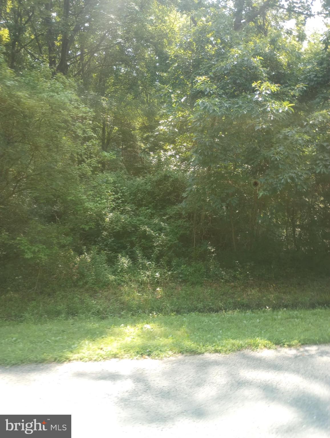 Cloquet Road Chestertown, MD 21620 - Photo 8 of 24 a view of a yard