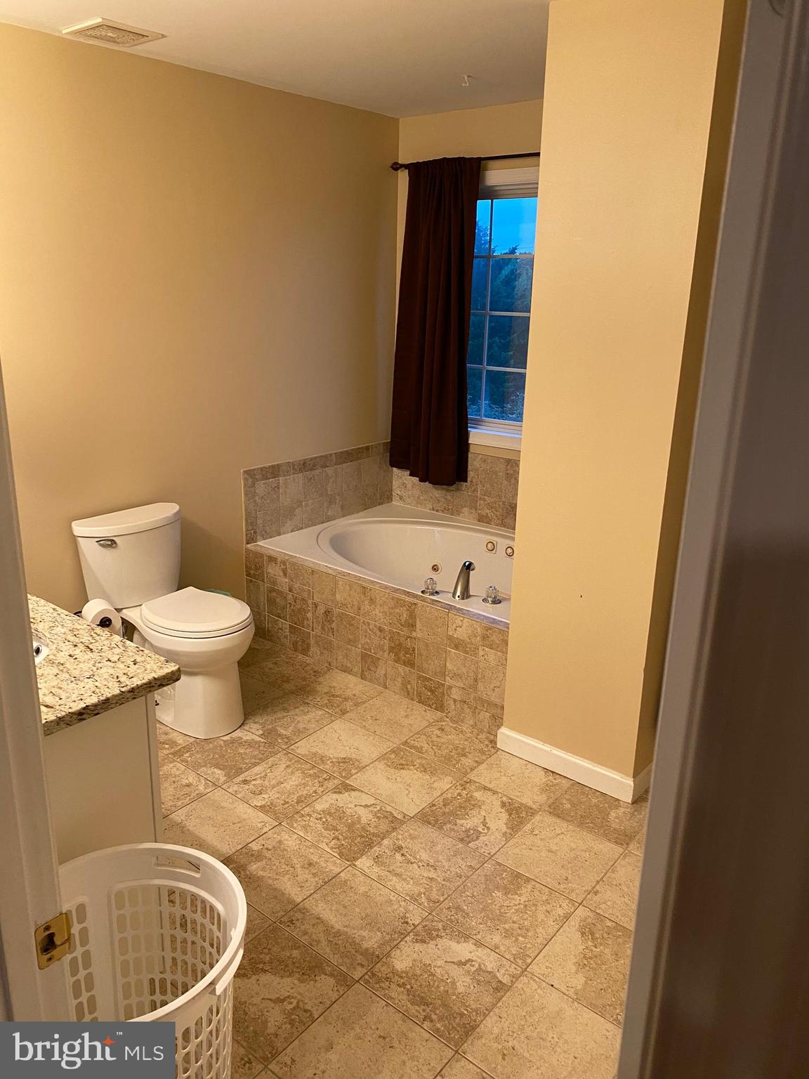304 Goldenrod Road Winchester, VA 22602 - Photo 20 of 26 Upper Level Master Bath