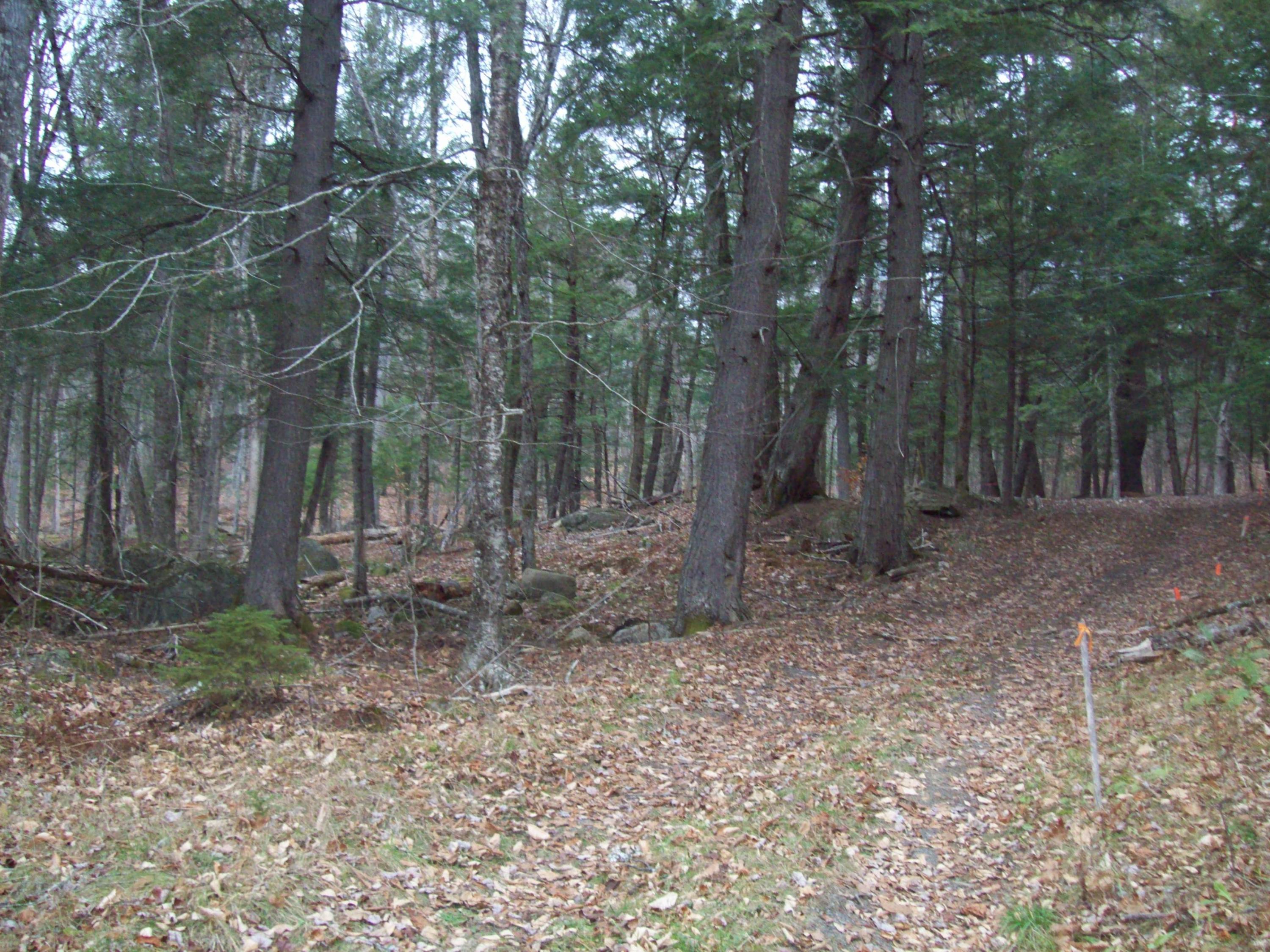 63 Bear Point Road Dover-Foxcroft, ME 04426 - Photo 7 of 16 100_0633