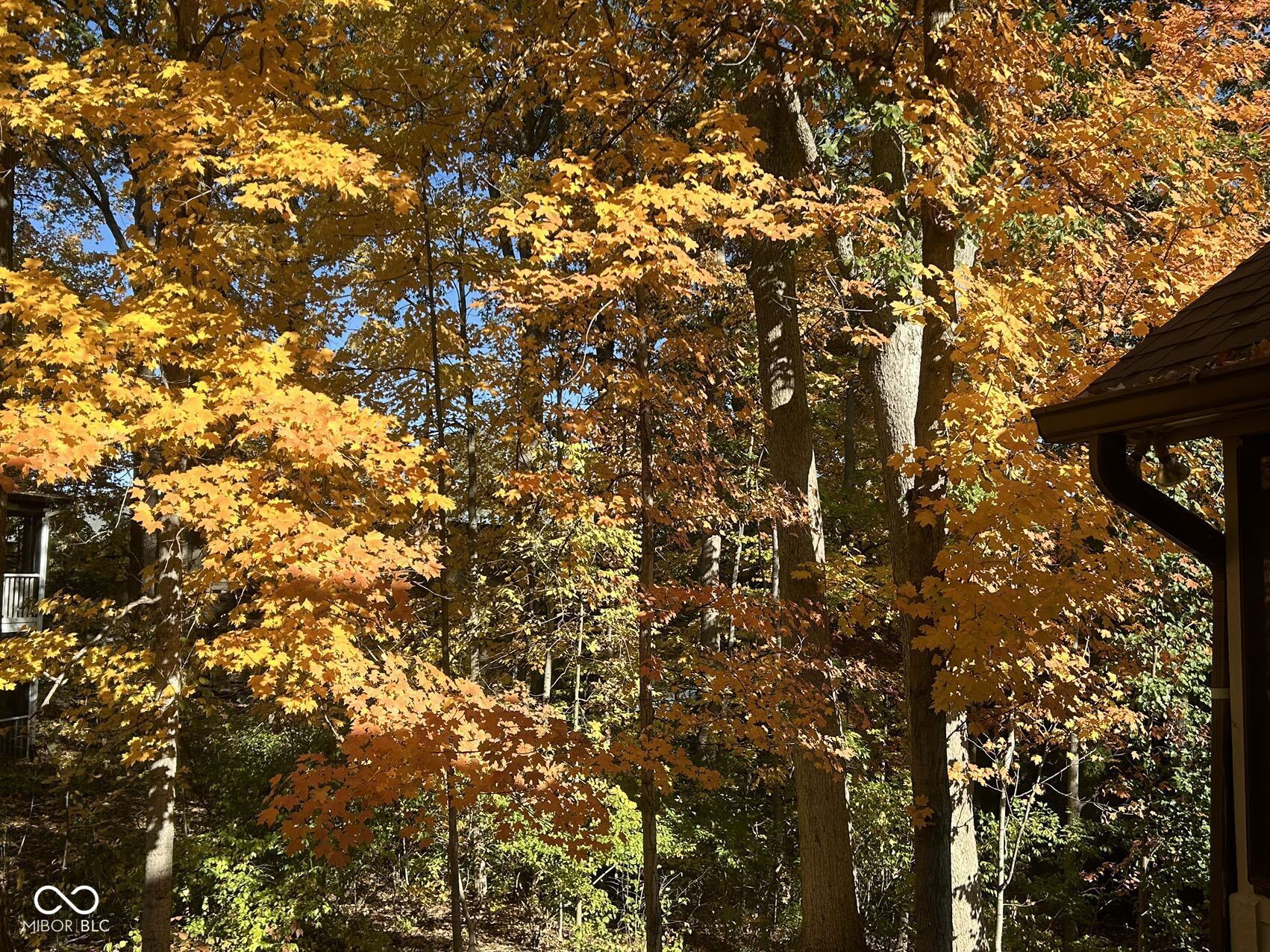 8413 Catamaran Drive Indianapolis, IN 46236 - Photo 11 of 62