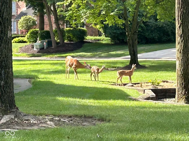 $553,900 | 8413 Catamaran Drive, Indianapolis, IN 46236